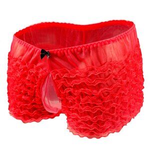 Sissy Convex Pouch Panties Mens Lace Transparent Briefs(1 Set)